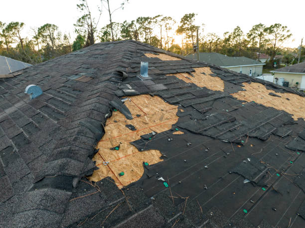 Best Roof Moss and Algae Removal  in Whitesboro, NJ